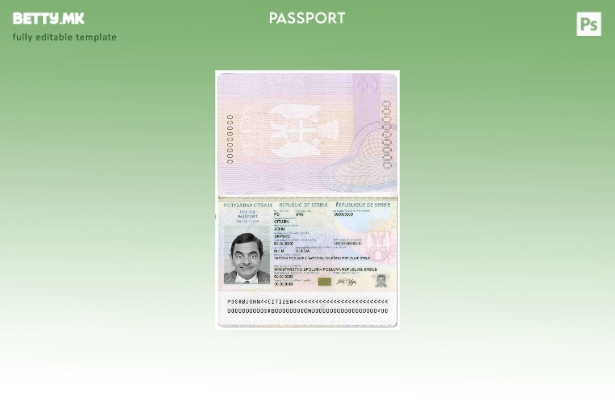 Шаблон за српски пасош во модерен стил ( – сегашен).